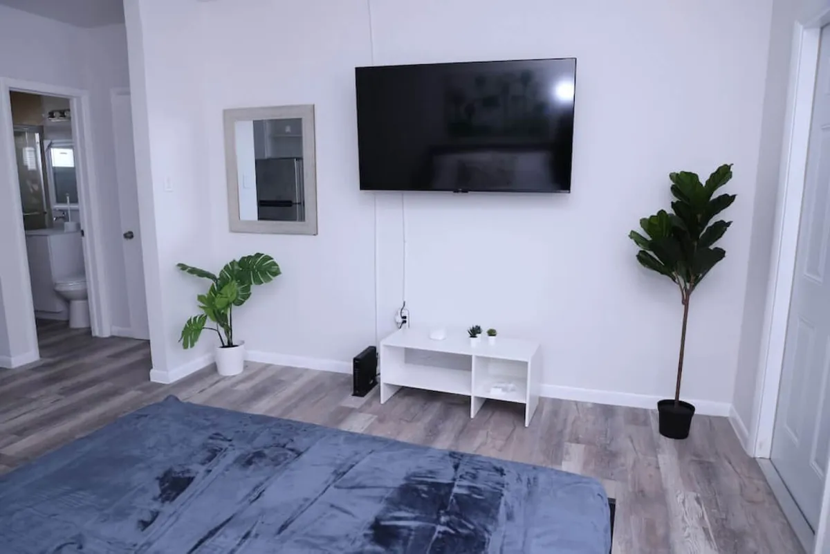 A tranquil corner of the studio featuring a large wall-mounted flat-screen TV above a small white media console, a bed with a blue bedspread, and lush potted plants adding a touch of greenery. The setup evokes peace and comfort, perfect for unwinding after a busy day.